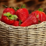 5 Стъпки към безпрецедентна реколта от ягоди...