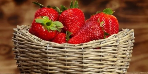 5 Стъпки към безпрецедентна реколта от ягоди
